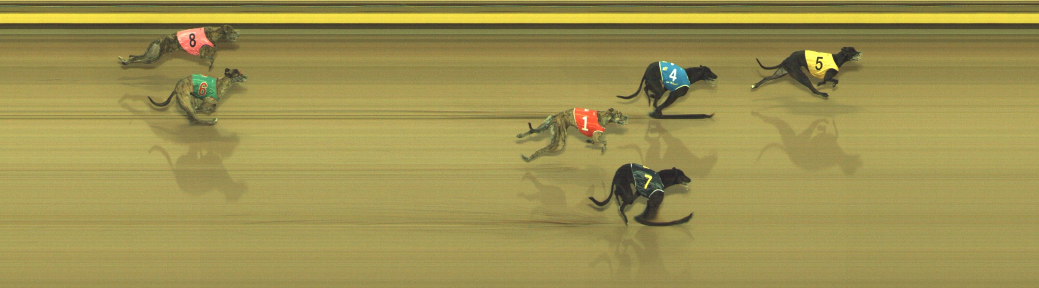 Race result finish photo